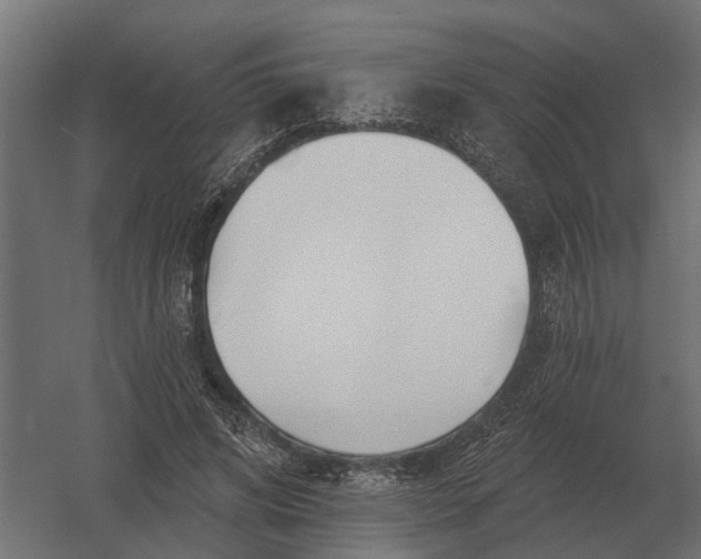 X0000052940592200507300020