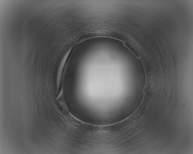 X0000052940593200507300020