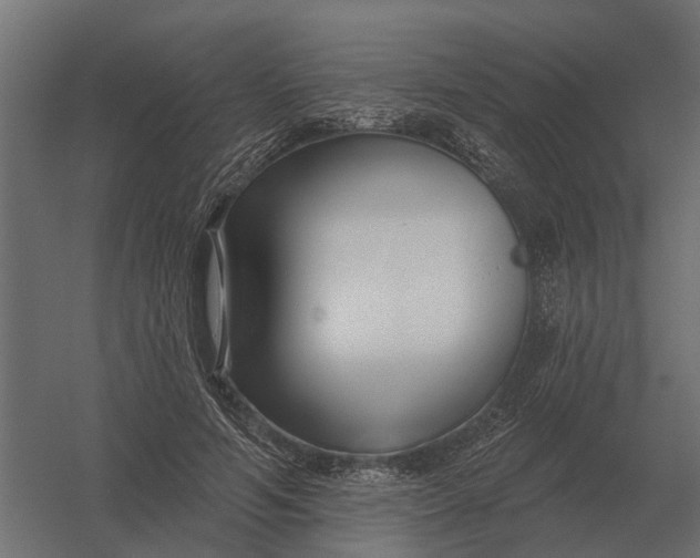 X0000052940594200507300020