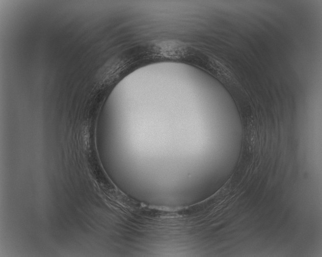 X0000052940595200507300020