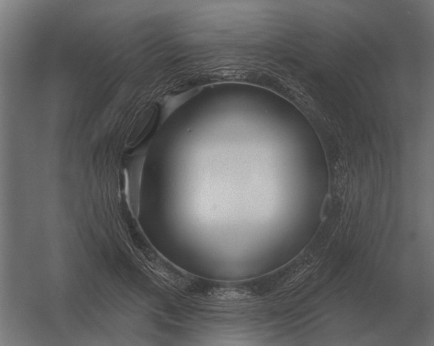 X0000052940597200507300020