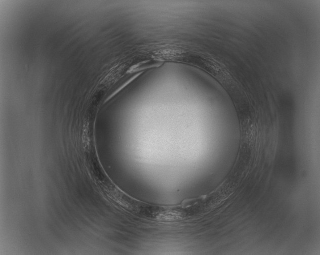 X0000052940599200507300020