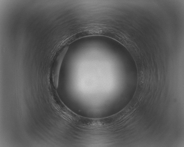 X0000052940600200507300020