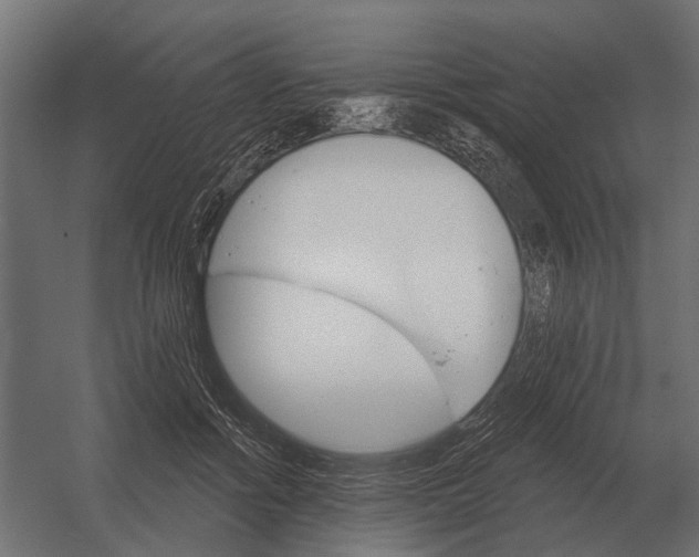 X0000052940602200507300020