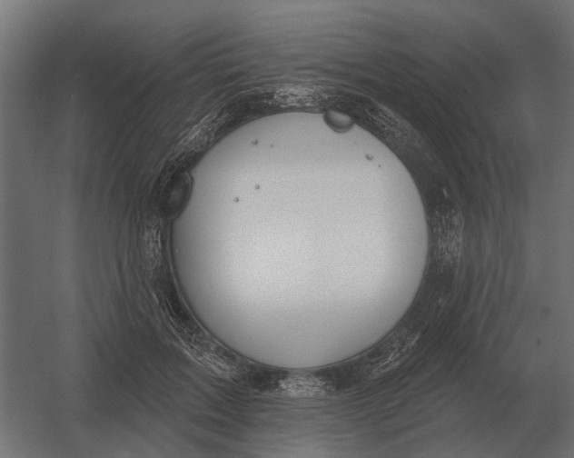 X0000052940603200507300020