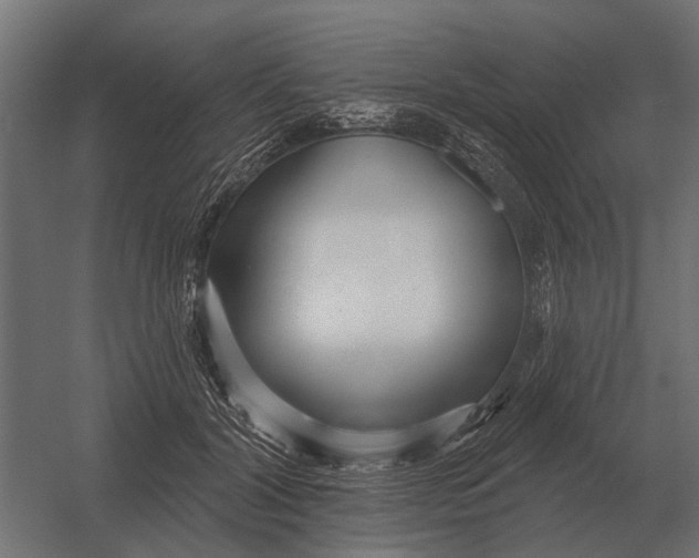 X0000052940604200507300020