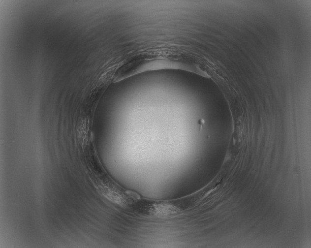 X0000052940605200507300020