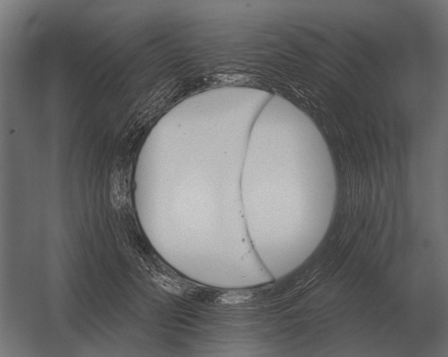 X0000052940606200507300020