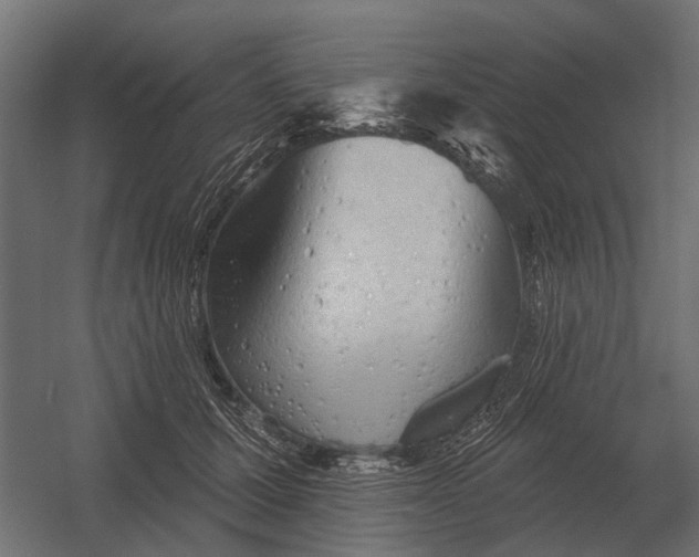 X0000052940607200507300020