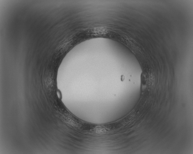 X0000052940608200507300020