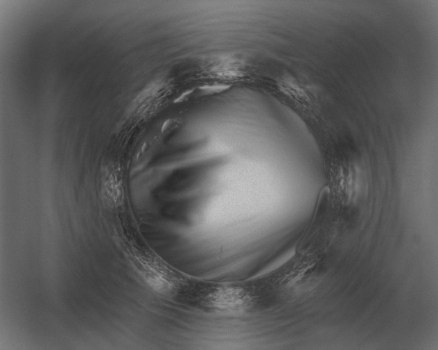 X0000052940609200507300020