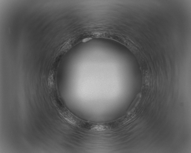 X0000052940611200507300020