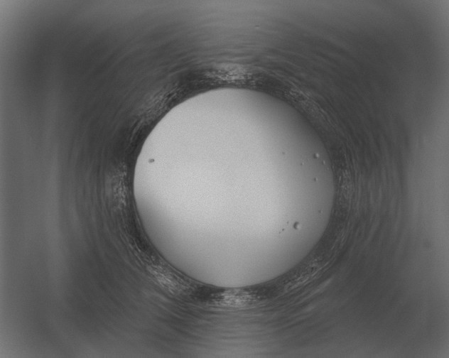 X0000052940612200507300020