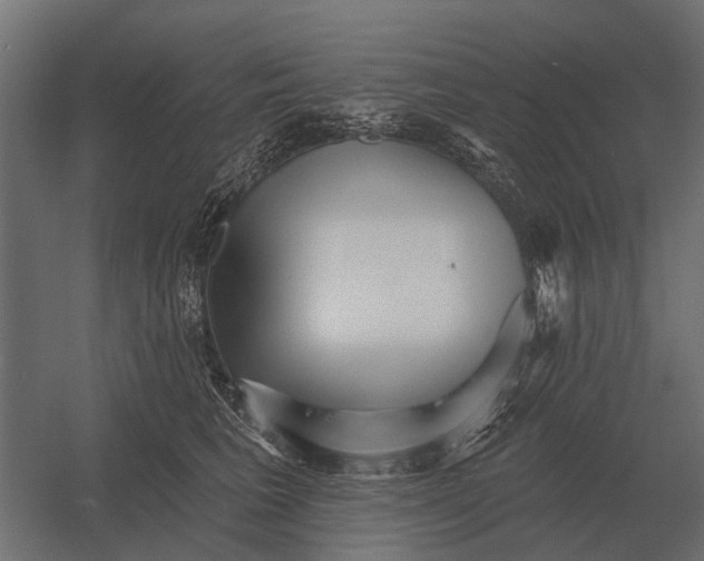 X0000052940613200507300020