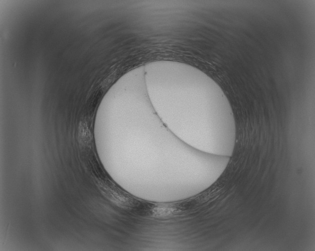 X0000052940614200507300020