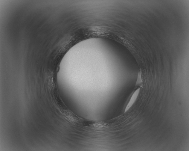 X0000052940615200507300020