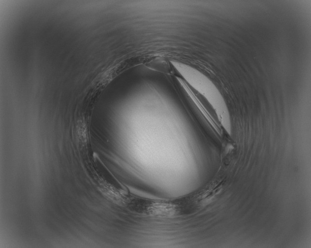 X0000052940617200507300020