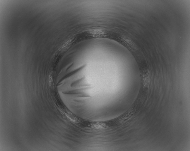 X0000052940618200507300020