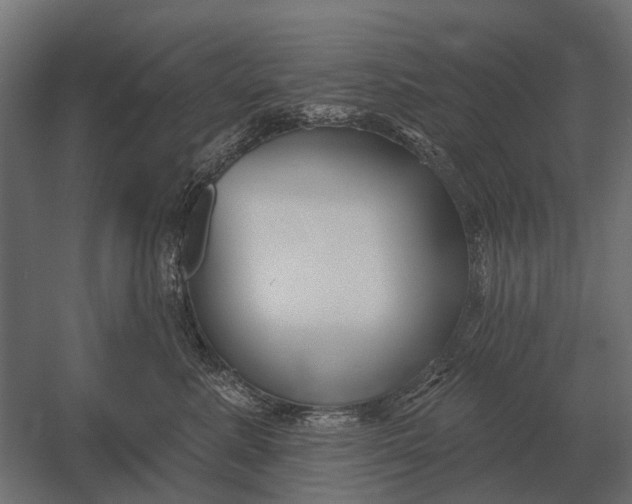 X0000052940619200507300020