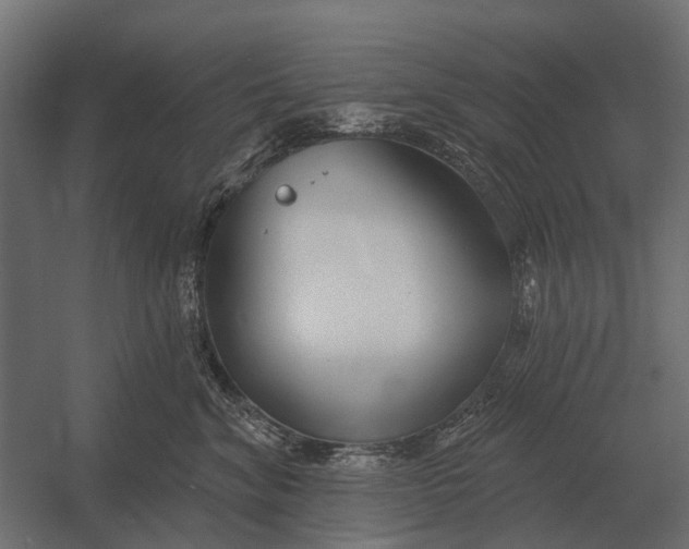 X0000052940620200507300020