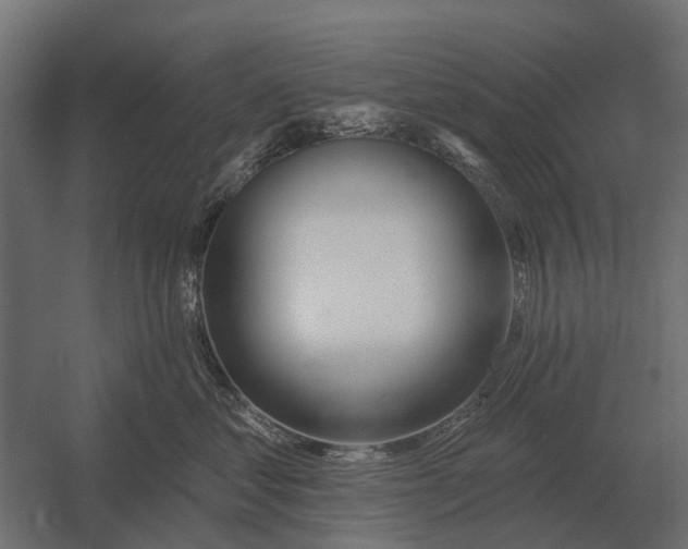 X0000052940621200507300020