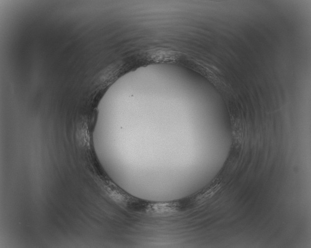 X0000052940622200507300020