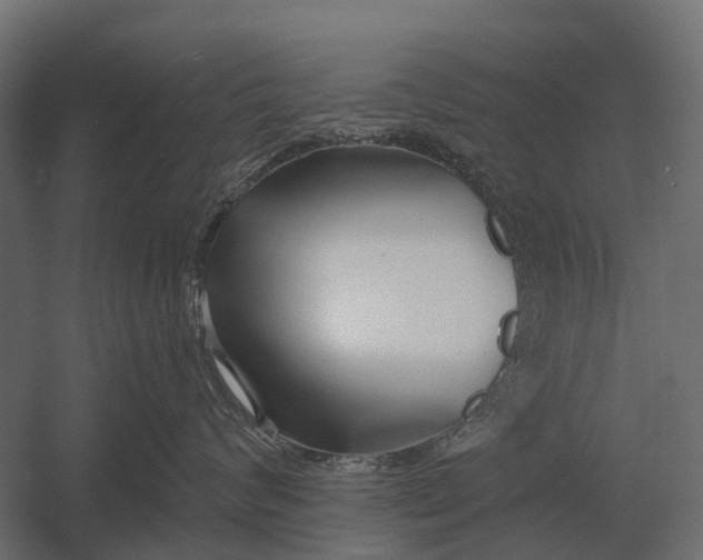 X0000052940624200507300020