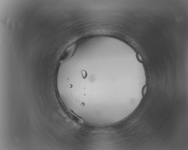 X0000052940625200507300019