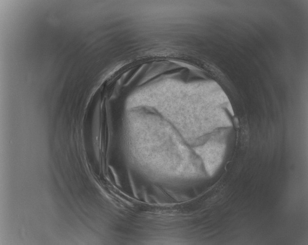 X0000052940626200507300019