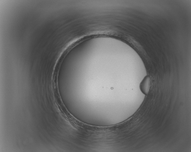 X0000052940628200507300019