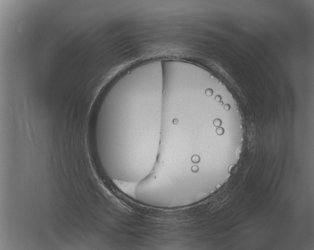 X0000052940629200507300019