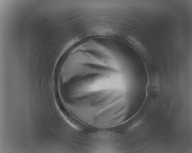 X0000052940630200507300019