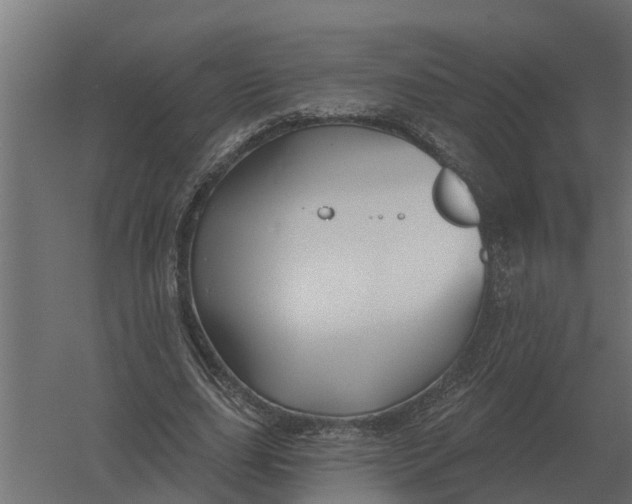 X0000052940631200507300019