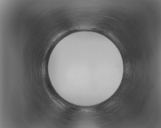 X0000052940632200507300019