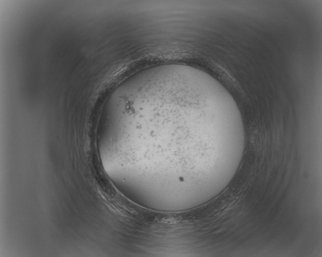 X0000052940635200507300019