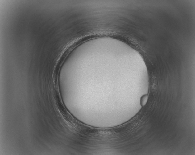 X0000052940636200507300019