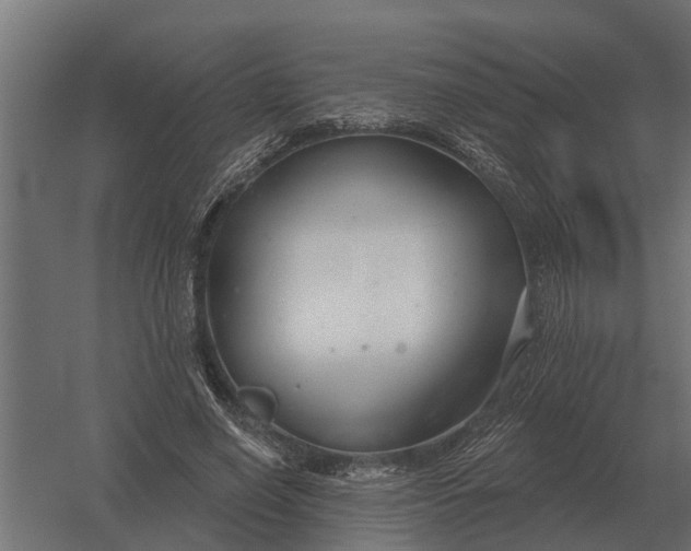 X0000052940638200507300019