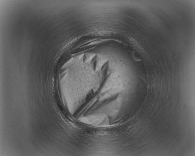 X0000052940640200507300019