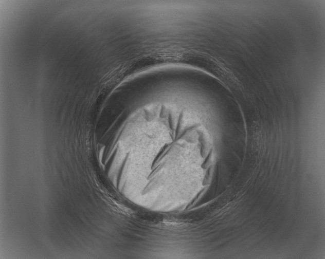 X0000052940641200507300019