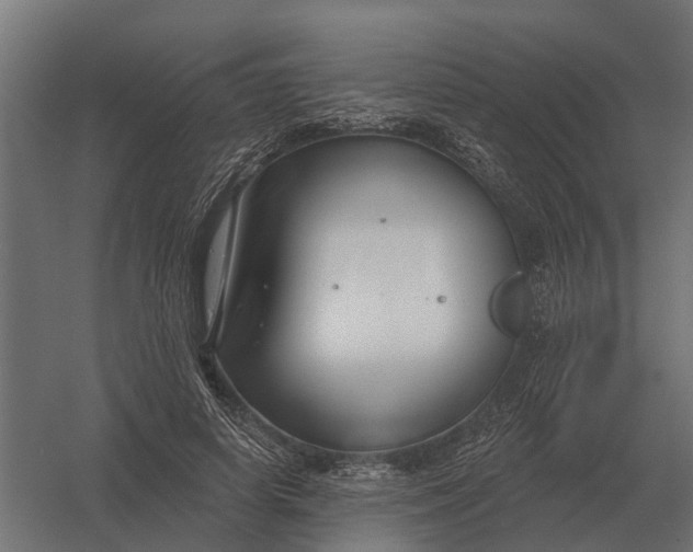 X0000052940642200507300019