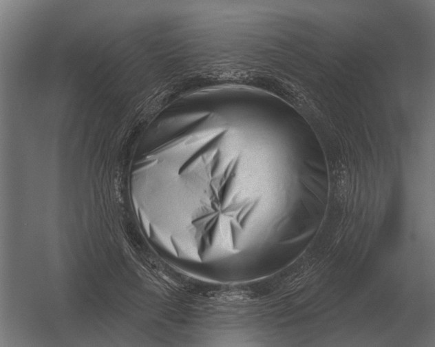 X0000052940643200507300019