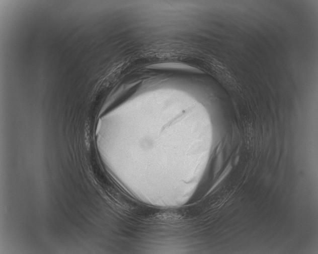 X0000052940644200507300019