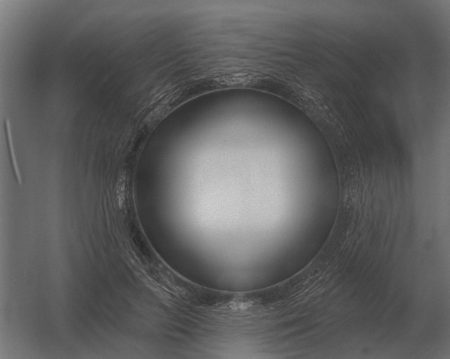 X0000052940647200507300019