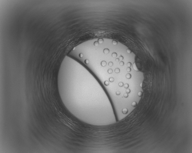 X0000052940653200507300019