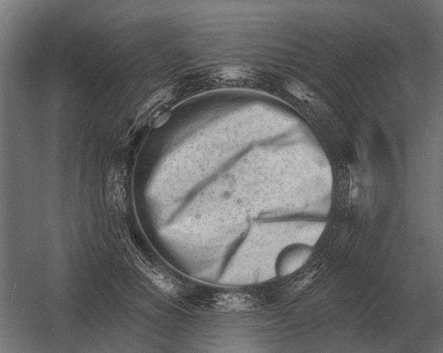 X0000052940654200507300019