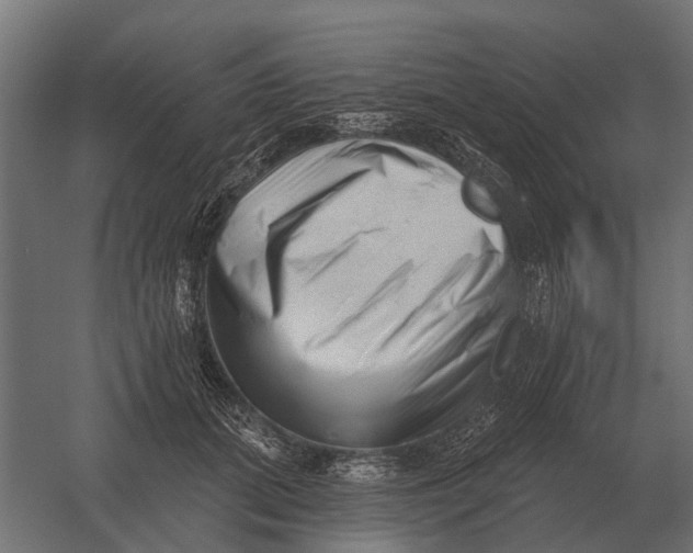 X0000052940655200507300019