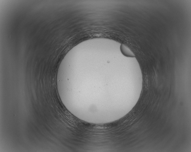 X0000052940657200507300019