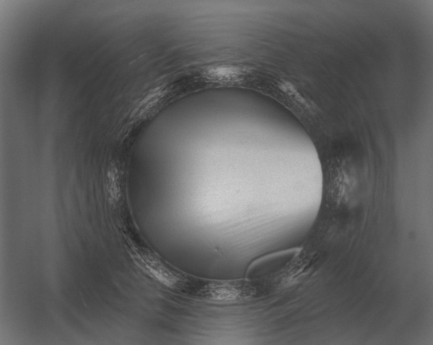 X0000052940658200507300019