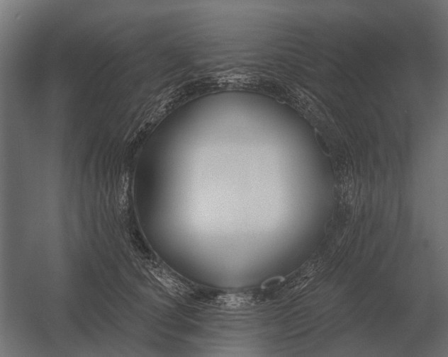 X0000052940660200507300020