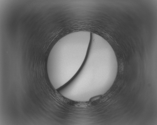 X0000052940661200507300020